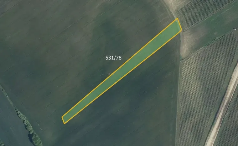 Prodej pole, Nový Poddvorov, 24780 m2