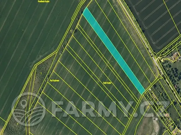 Prodej pole, Věžky, 63026 m2