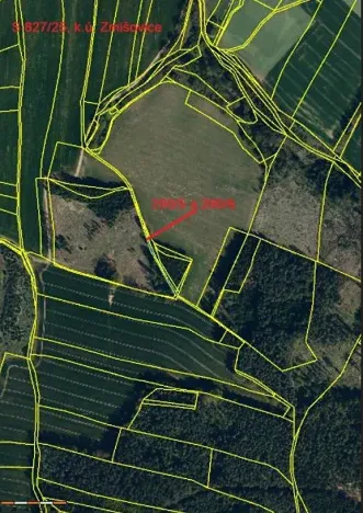 Prodej lesa, Červená Řečice, 326 m2