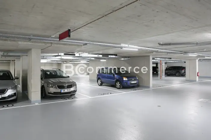 Pronájem kanceláře, Brno, 160 m2