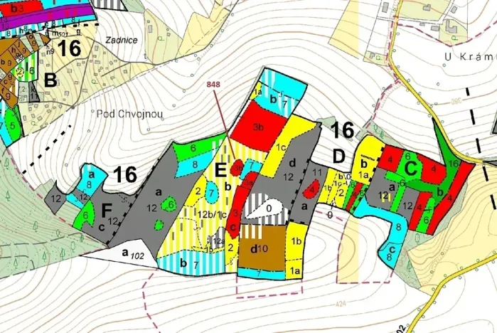 Dražba lesa, Nové Dvory, 81658 m2