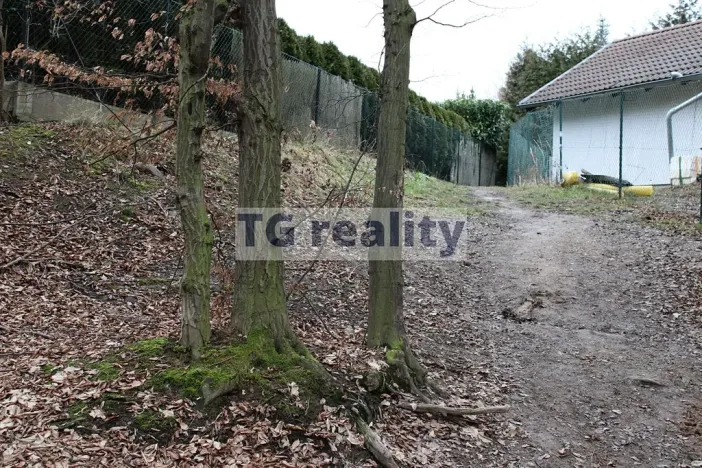 Prodej lesa, Babice, 8867 m2