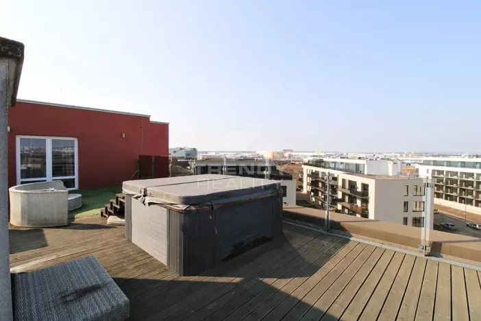 Pronájem bytu 3+kk, Plzeň, Goldscheiderova, 250 m2