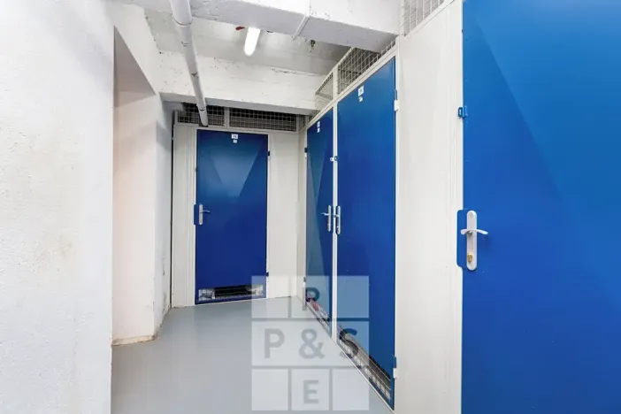 Prodej bytu 4+kk, Praha - Žižkov, Viklefova, 100 m2