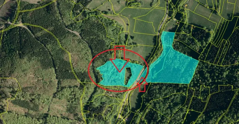 Prodej lesa, Huslenky, 16650 m2