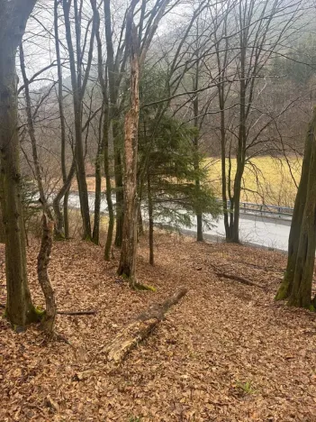 Prodej lesa, Huslenky, 29988 m2