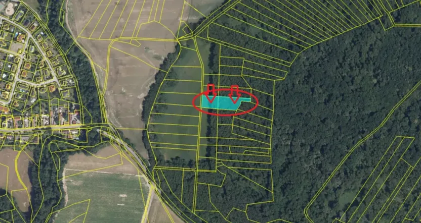 Prodej podílu lesa, Přerov nad Labem, 1596 m2