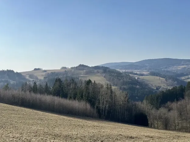 Prodej lesa, Plavy, 32050 m2