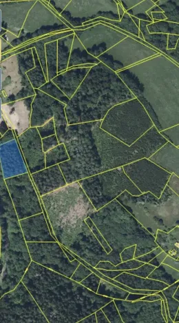Prodej lesa, Plavy, 32050 m2