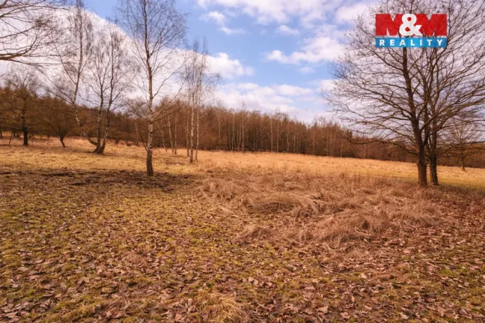 Prodej louky, Křečovice - Vlkonice, 68525 m2