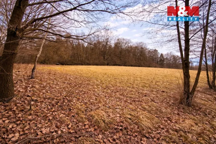 Prodej rybníku, Křečovice - Vlkonice, 68525 m2