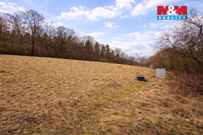 Prodej pozemku pro bydlení, Křečovice - Vlkonice, 68525 m2