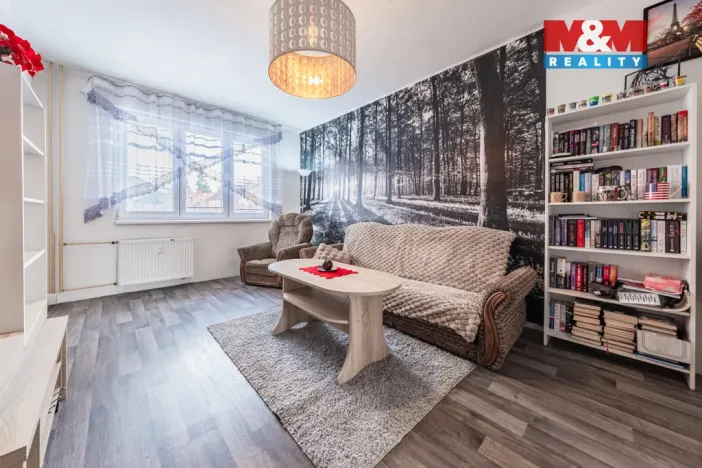 Prodej bytu 2+1, Strakonice - Strakonice II, Alf. Šťastného, 59 m2