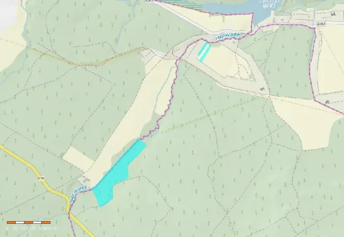 Prodej podílu lesa, Hudlice, 49952 m2