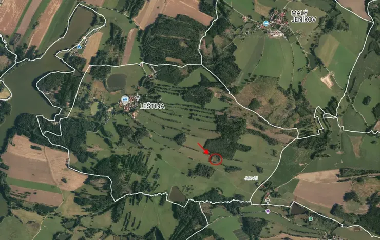 Prodej lesa, Strmilov, 8914 m2