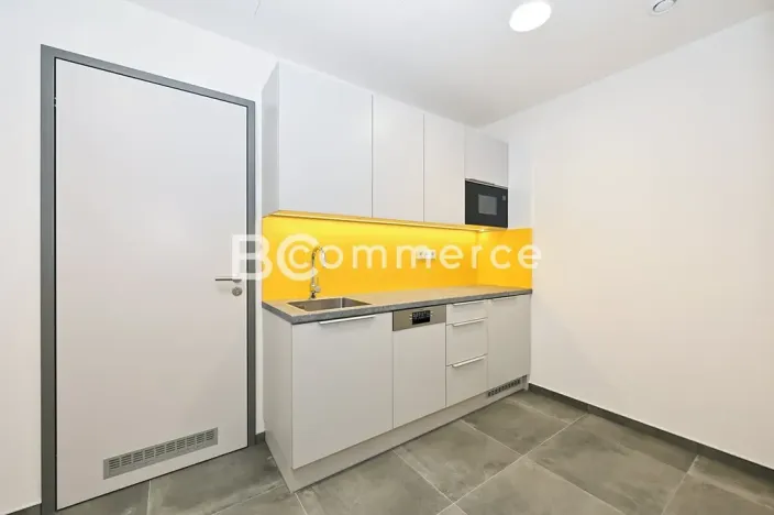 Pronájem obchodního prostoru, Brno, Svatopetrská, 203 m2