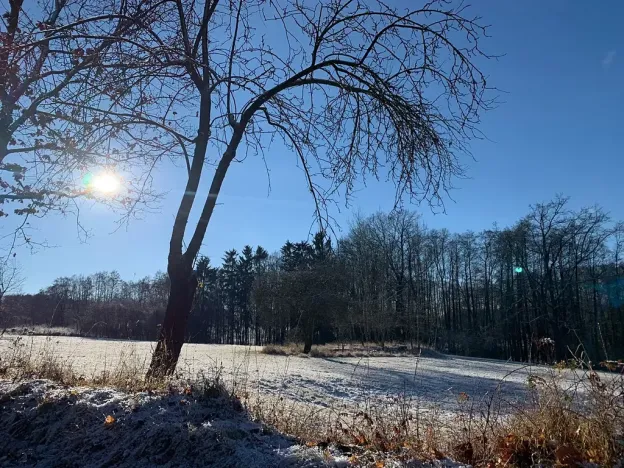 Prodej pozemku pro bydlení, Bystřice, 1046 m2