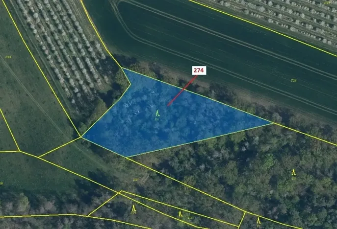 Dražba lesa, Jeviněves, 4557 m2