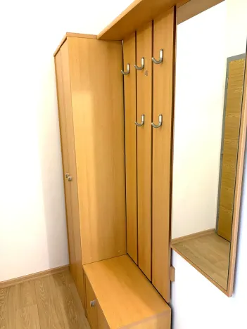 Pronájem bytu 1+1, Strakonice, Obránců míru, 42 m2