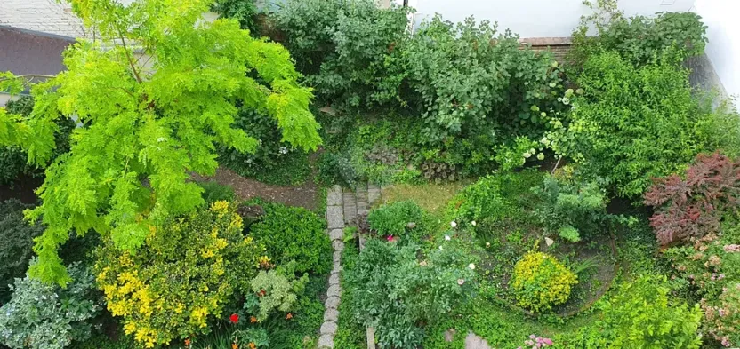 Pronájem bytu 2+kk, Praha - Holešovice, Dobrovského, 37 m2