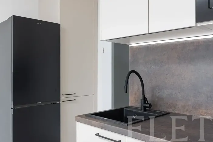 Pronájem bytu 1+kk, Praha - Hloubětín, Poděbradská, 30 m2