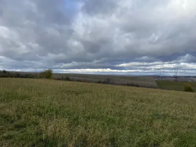 Prodej pole, Děkov, 11683 m2