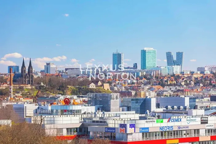 Prodej atypického bytu, Praha - Smíchov, Kobrova, 134 m2