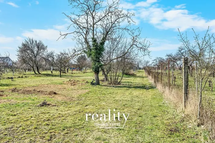 Prodej zahrady, Nový Šaldorf-Sedlešovice, 3000 m2