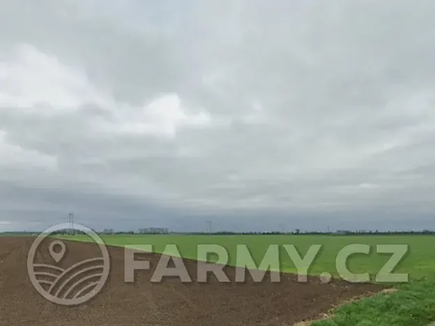 Prodej podílu pole, Pravčice, 27890 m2
