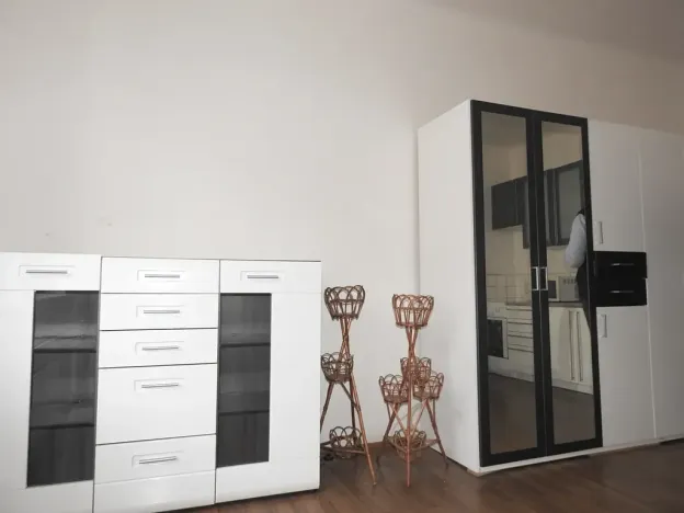 Pronájem bytu 1+kk, Praha - Žižkov, Žerotínova, 24 m2