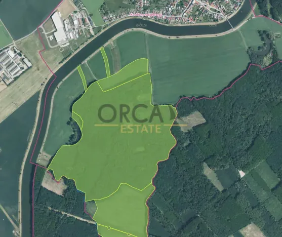 Prodej lesa, Kostelany nad Moravou, 58008 m2