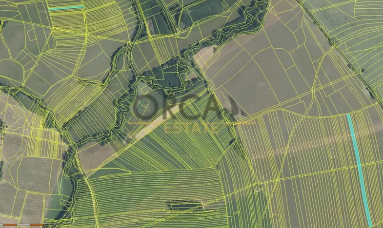 Prodej pole, Záhorovice, 2531 m2