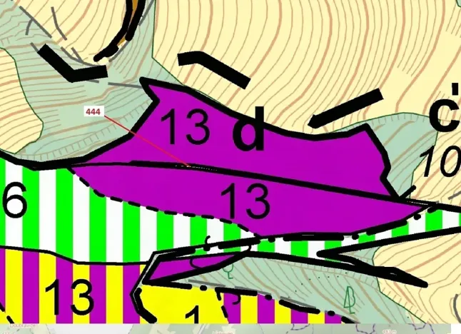 Dražba lesa, Městečko Trnávka, 302 m2