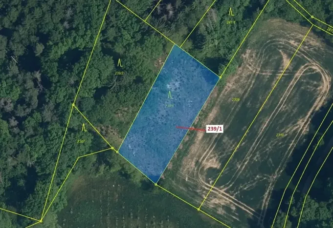 Dražba lesa, Jenišovice, 1872 m2