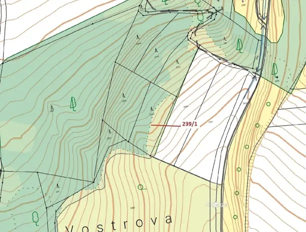 Dražba lesa, Jenišovice, 1872 m2