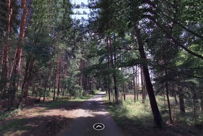 Dražba lesa, Chrášťany, 1726 m2