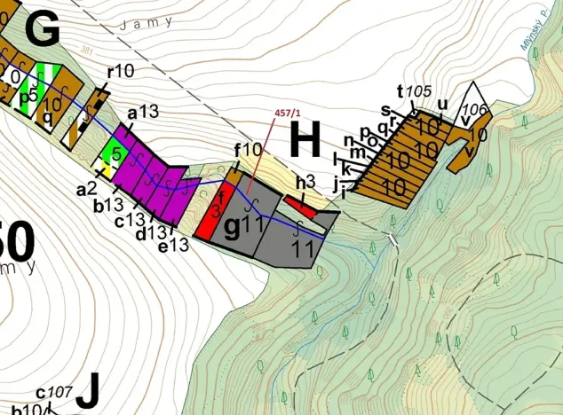 Dražba lesa, Přešovice, 4115 m2