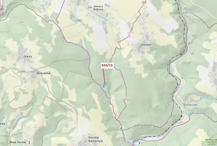 Dražba lesa, Jílové u Držkova, 6213 m2