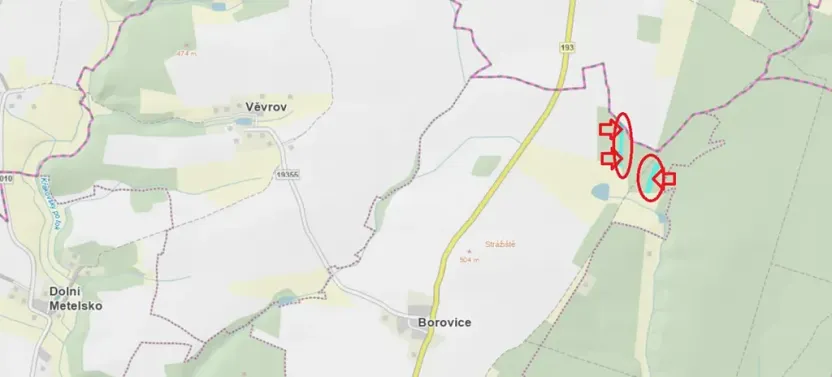 Prodej podílu lesa, Horšovský Týn, 4280 m2