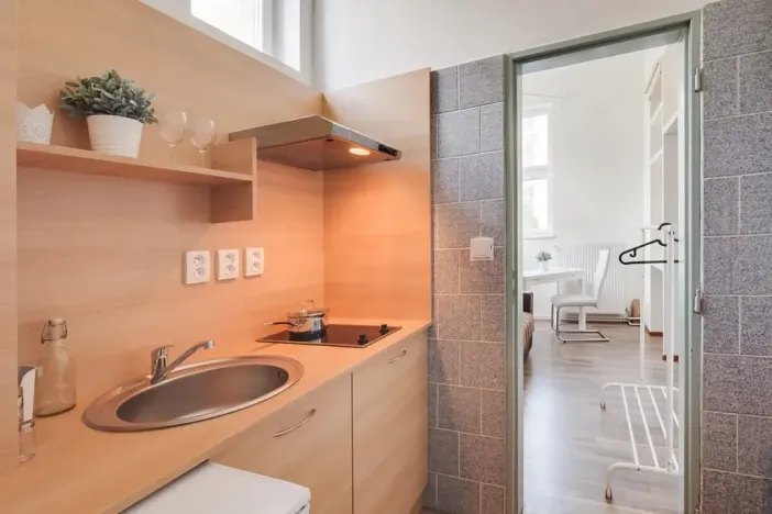 Pronájem bytu 1+1, Praha - Dejvice, Pod kaštany, 14 m2