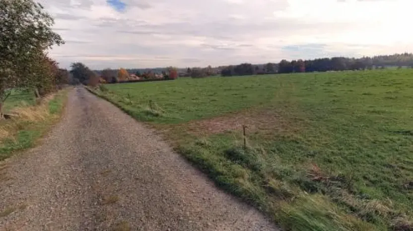 Prodej pole, Nasavrky, 28806 m2