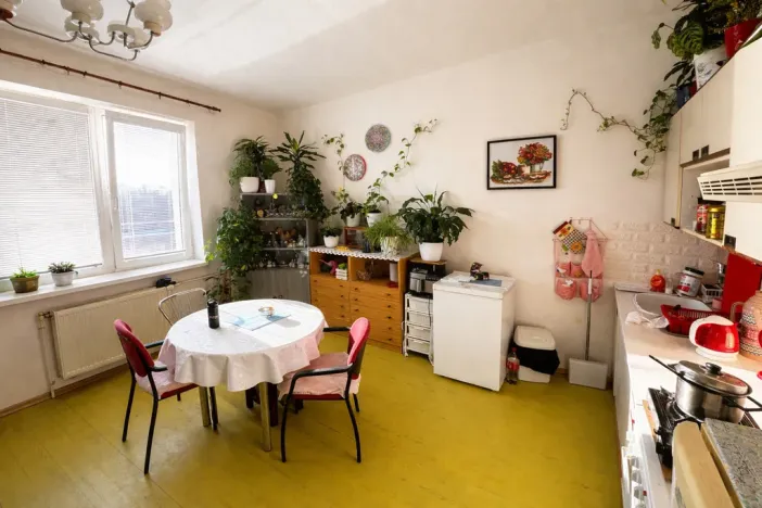 Prodej bytu 1+kk, Zruč nad Sázavou, Mládeže, 33 m2