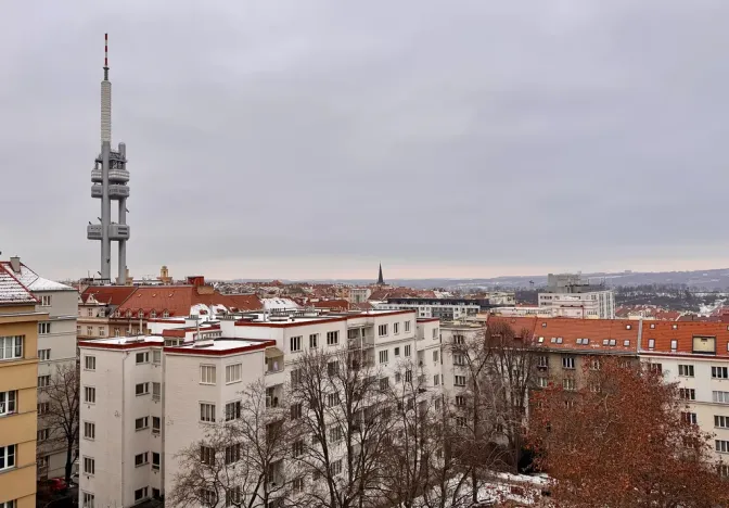 Prodej bytu 2+kk, Praha - Žižkov, Lucemburská, 80 m2