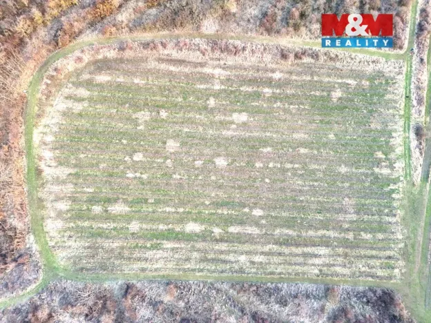 Prodej pole, Sedlec, 9215 m2