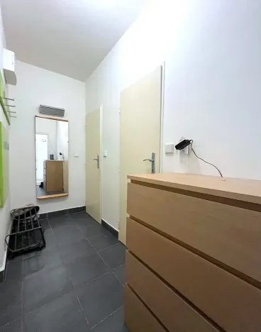 Prodej bytu 1+1, Brno, Křížkovského, 37 m2