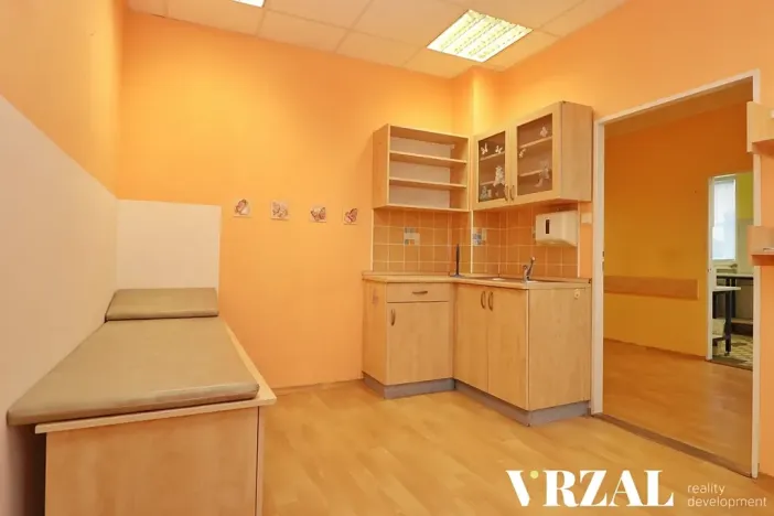 Pronájem ordinace, Plzeň, Francouzská třída, 80 m2