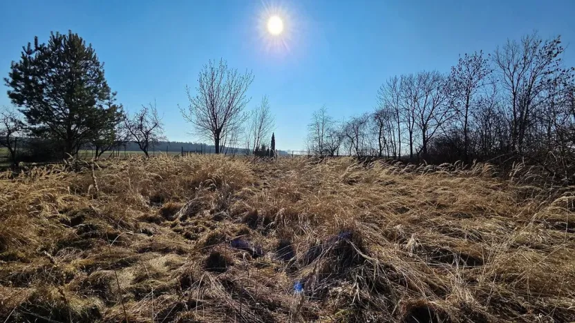 Prodej komerční, Raková u Konice, 229 m2