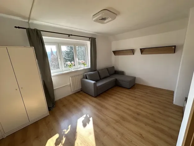 Pronájem bytu 1+1, Velké Hamry, 41 m2