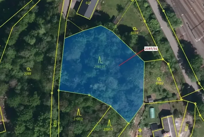 Dražba lesa, Karviná, 1999 m2