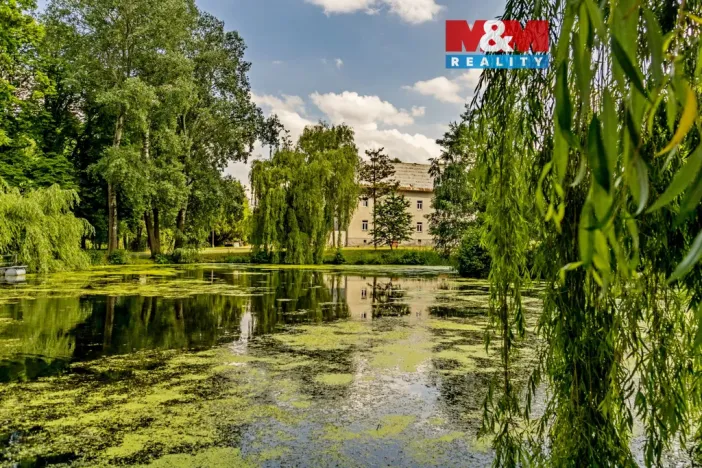 Pronájem bytu 1+kk, Vlčice, 50 m2